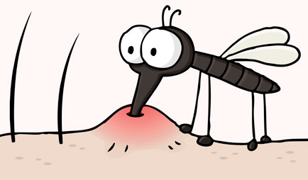 Thức ăn muỗi là gì