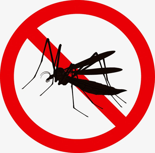 Phòng ngừa và tiêu diệt muỗi
