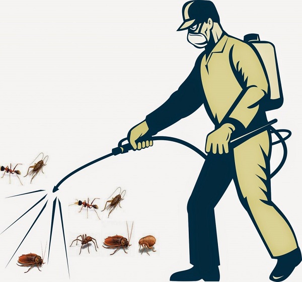 Cách làm thuốc diệt côn trùng